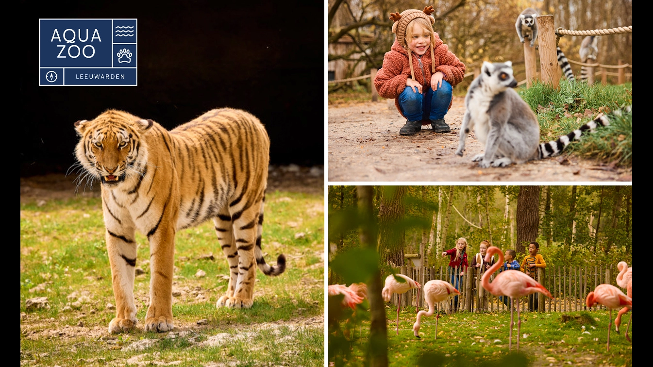 AquaZoo, Entree AquaZoo bespaar 38% in Friesland via Social Deal